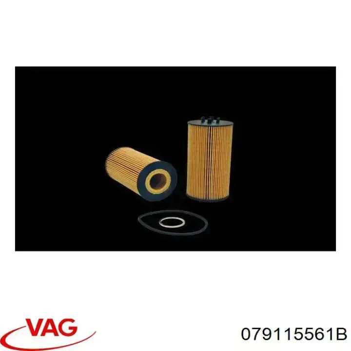 Купити 079115561B VAG Фільтр очищення масла відцентровий