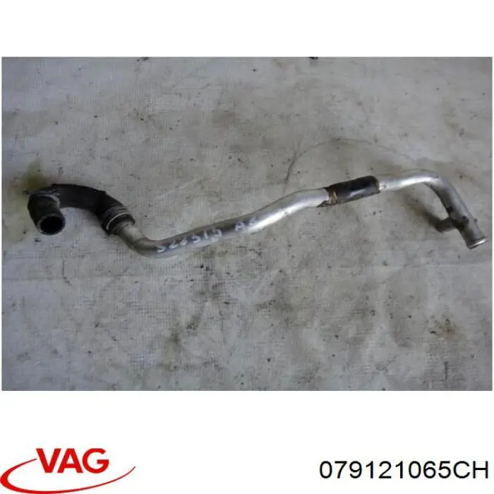 079121065CH VAG 
