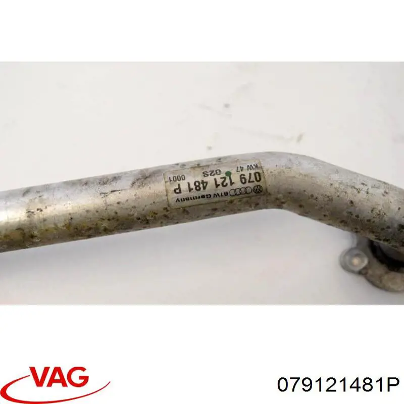  079121481P VAG