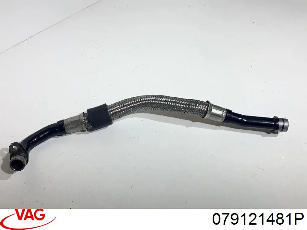  VAG 079121481P