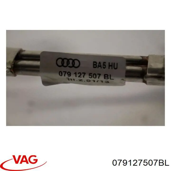  079127507BL VAG