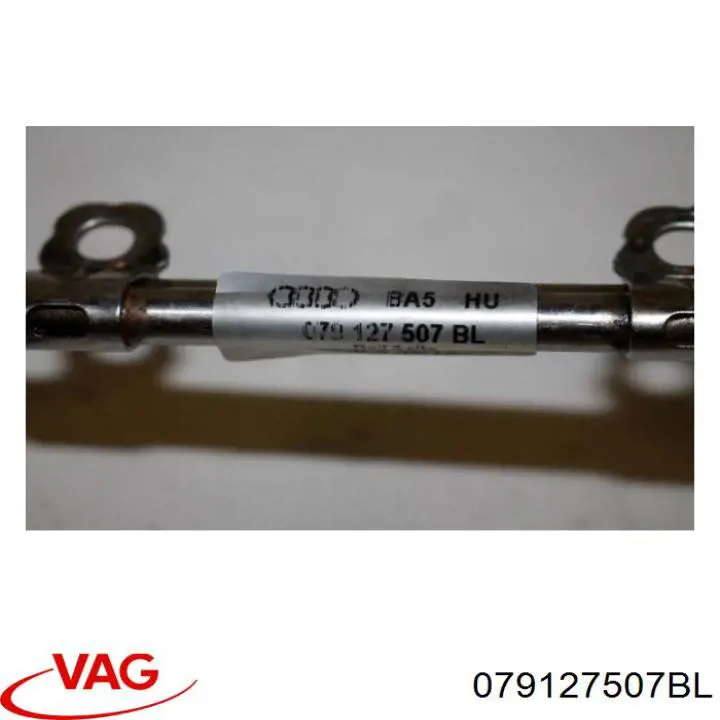 079127507BL VAG 