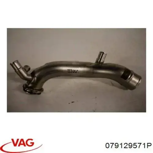 079129571P VAG 