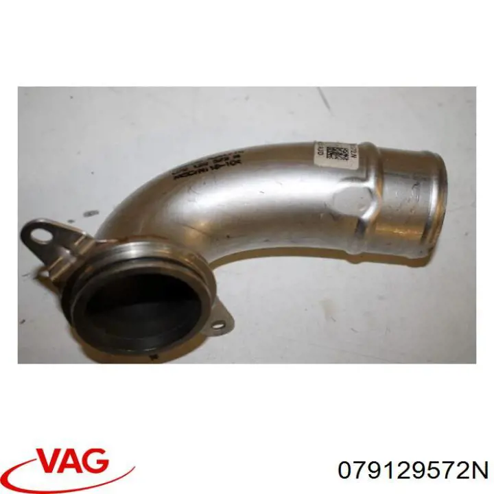079129572N VAG 