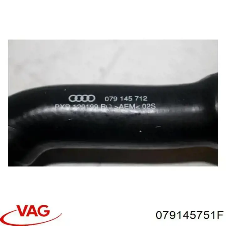 079145751F VAG 