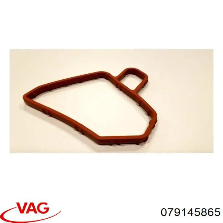079145865 VAG 
