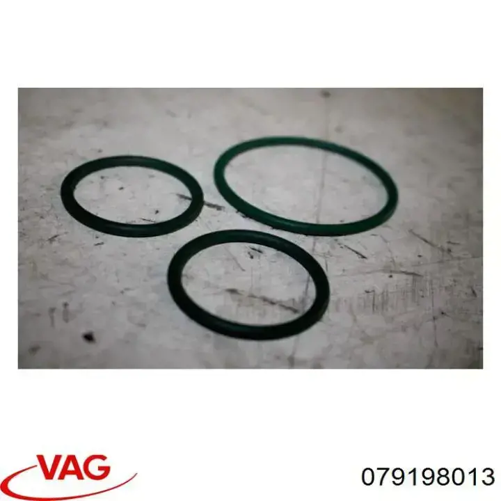 Купити 079198013 VAG 