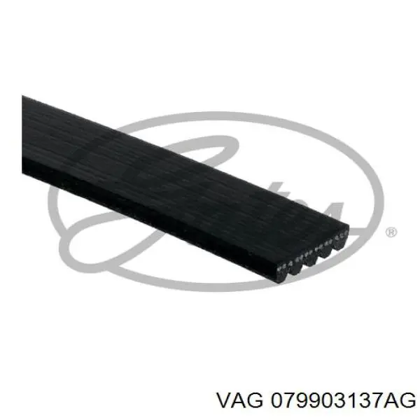 Ремінь генератора 079903137AG VAG