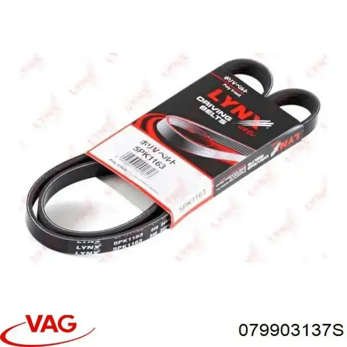 Купити 079903137S VAG Ремінь генератора