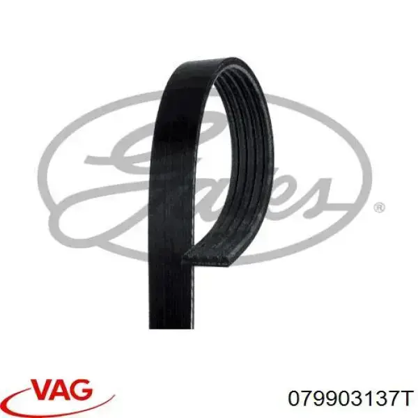 Купити 079903137T VAG Ремінь генератора
