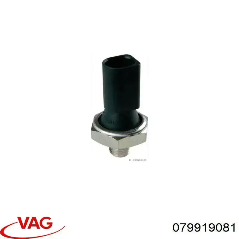 79919081 VAG Датчик показника тиску масла