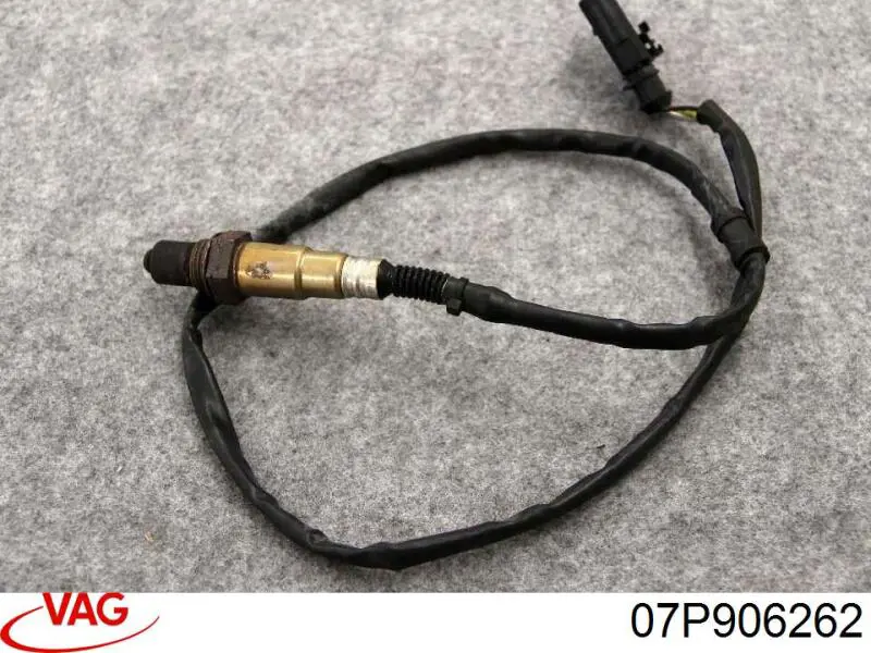  VAG 07P906262Q