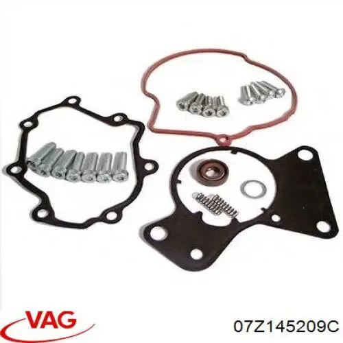 Тандемний паливний насос, правий VAG 07Z145209C ціна, від 306.66 USD