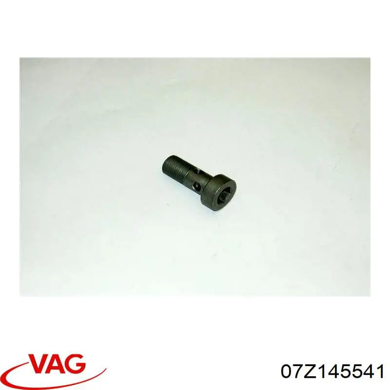  VAG 07Z145541 ціна, від 18.83 USD