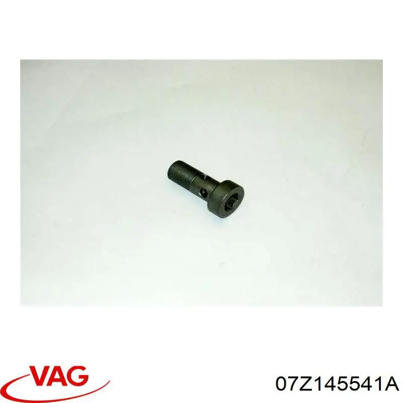 Купити 07Z145541A VAG 