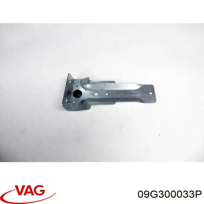 09G300033P VAG Автоматична коробка передач