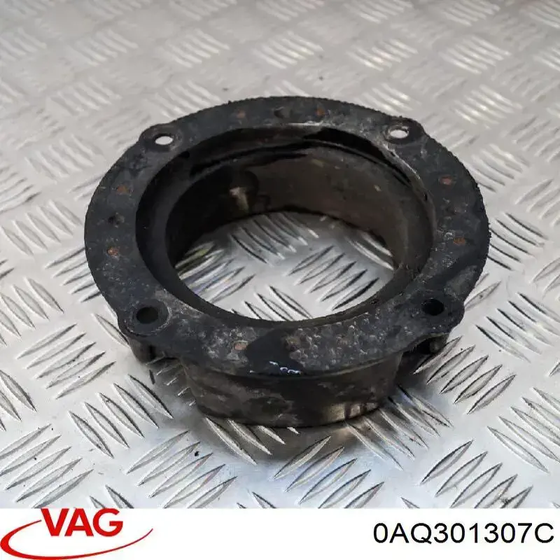 0AQ301307C VAG 