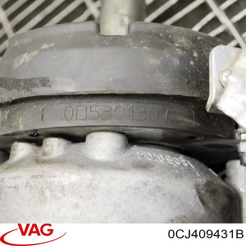 0CJ409431B VAG 