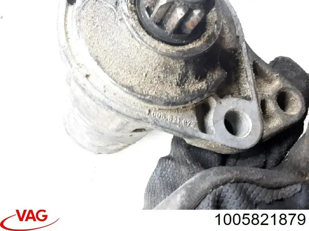 1005821879 VAG 