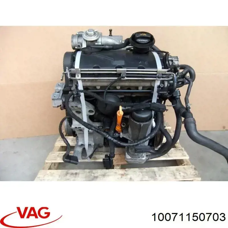10071150703 VAG 