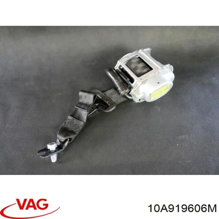 Дисплей багатофункціональний 10A919606M VAG