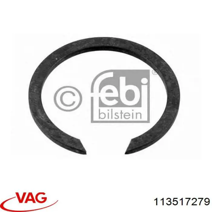  113517279 VAG