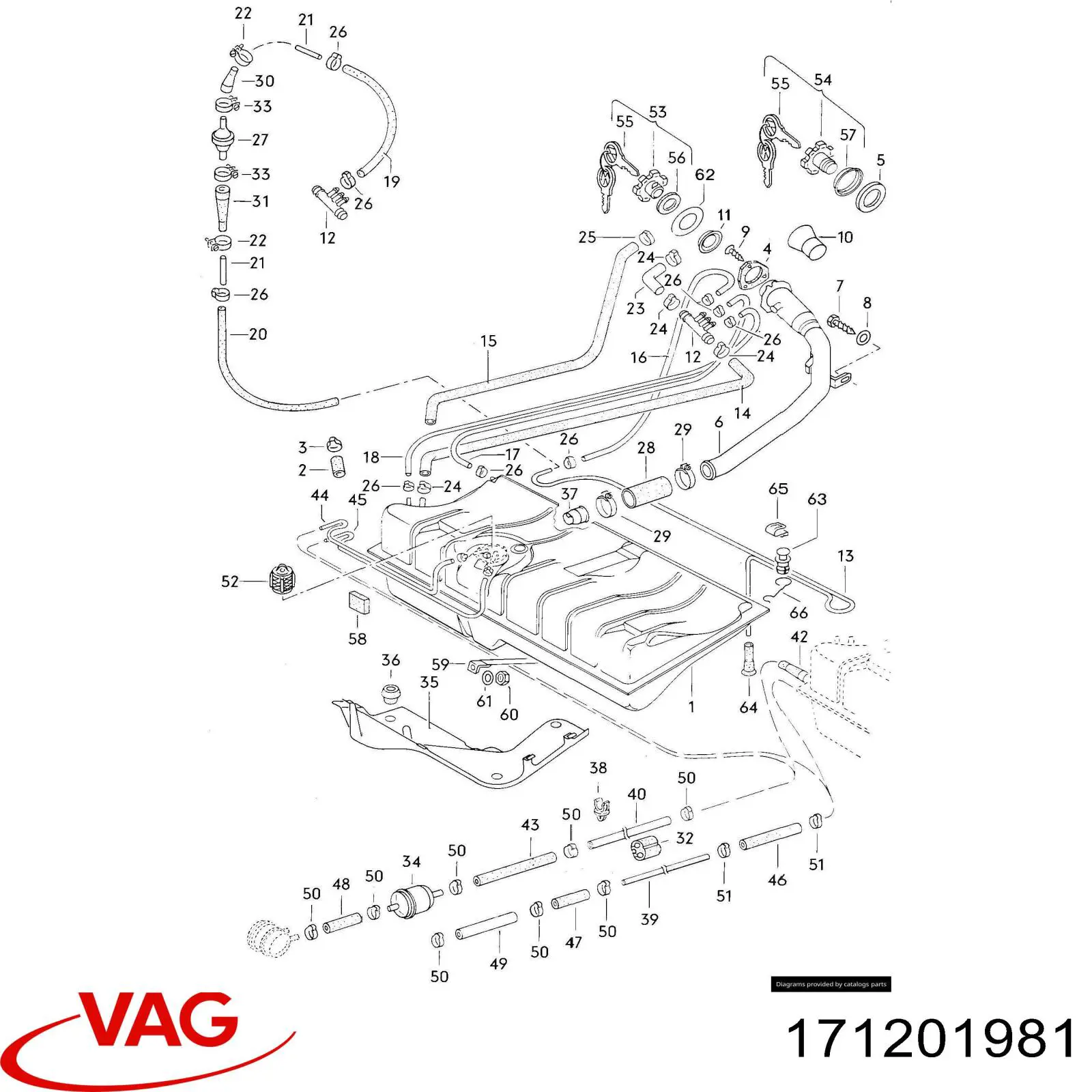  171201981 VAG