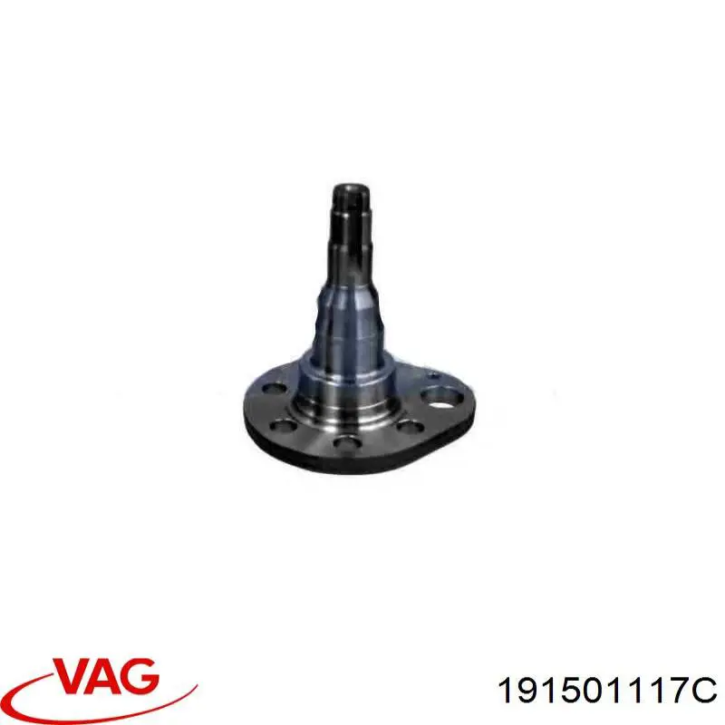 Купити 191501117C VAG Цапфа - поворотний кулак задній, правий