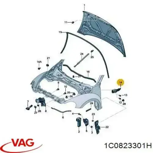 Петля капота, ліва 1C0823301H VAG