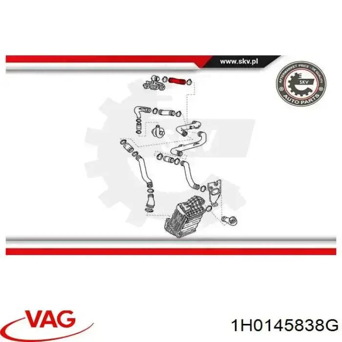 Шланг/патрубок інтеркуллера VAG 1H0145838G