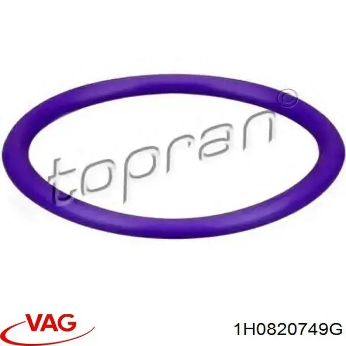 1H0820749G VAG 