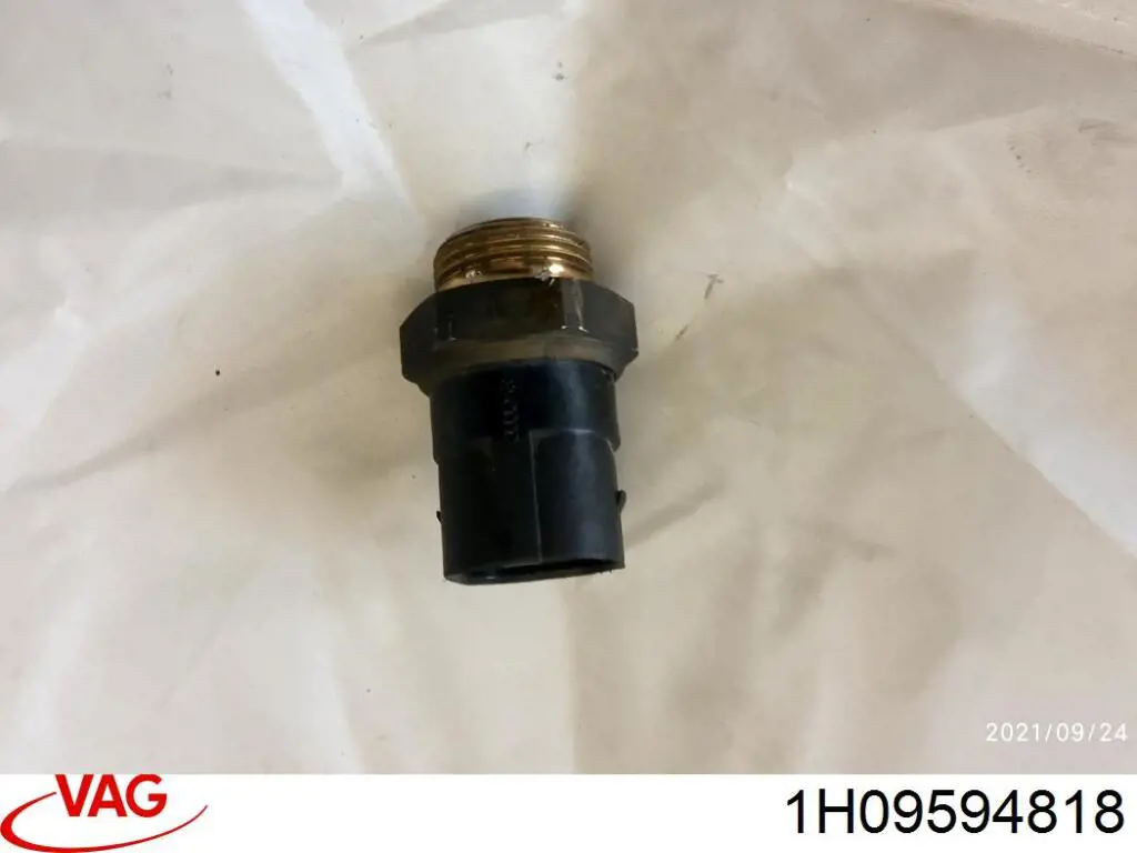 1H09594818 VAG 