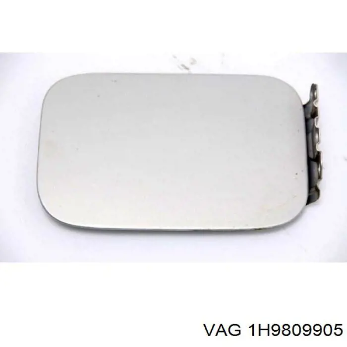 Купити 1H9809905 VAG 