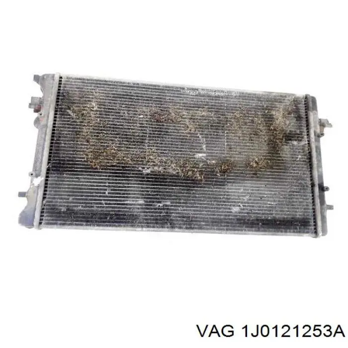 Купити 1J0121253A VAG Радіатор двигуна