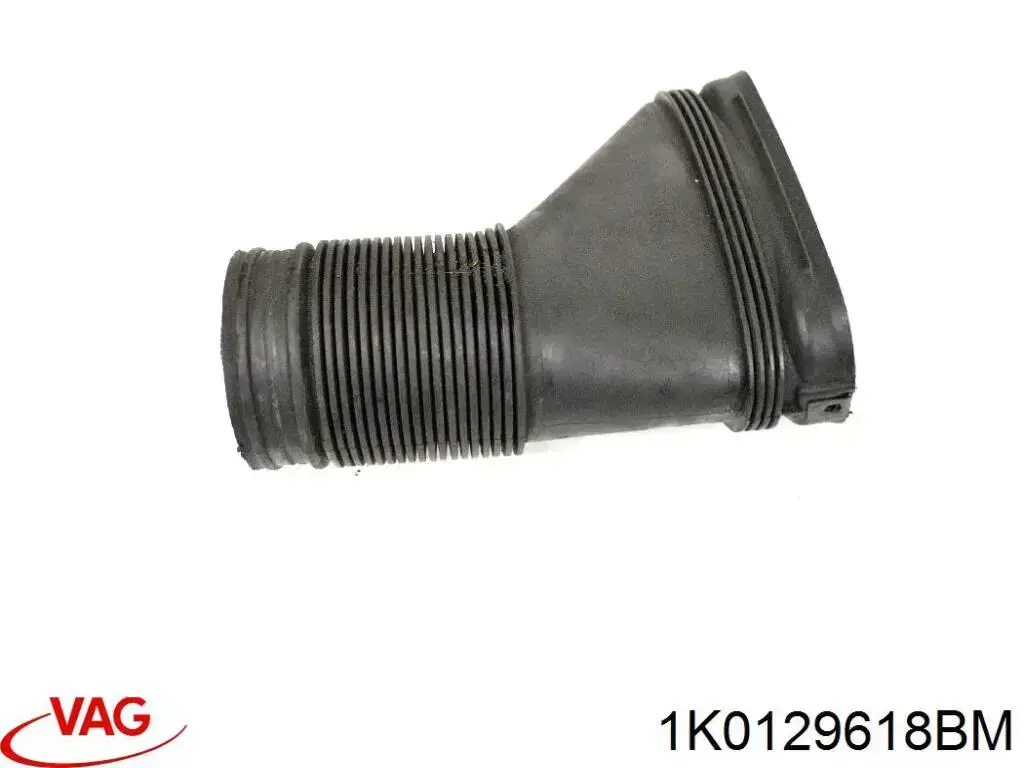  1K0129618BM VAG