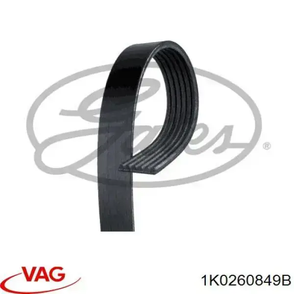 Клиновий ремінь VAG 1K0260849B ціна, від 12.33 USD