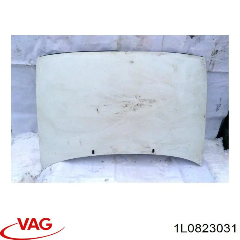 1L0823031 VAG Капот