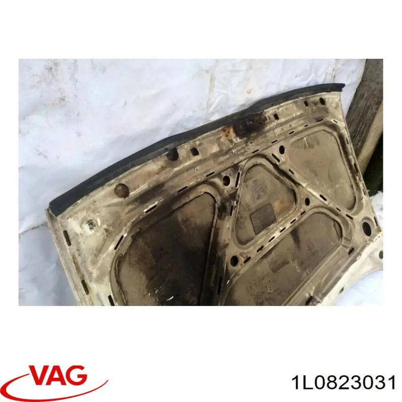 Капот VAG 1L0823031 ціна, від 151.26 USD