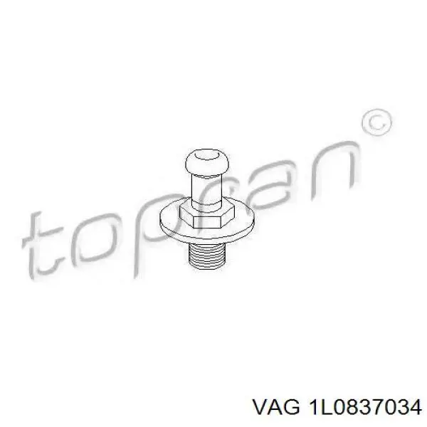 Купити 1L0837034 VAG Петля-зачіп (відповідна частина) замка двері задньої
