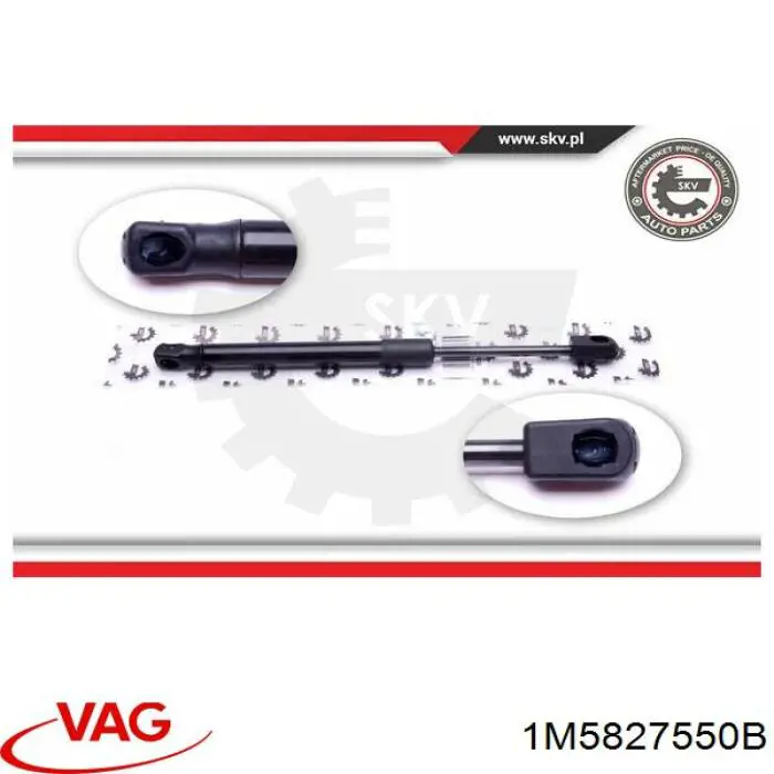 Купити 1M5827550B VAG Амортизатор двері багажника