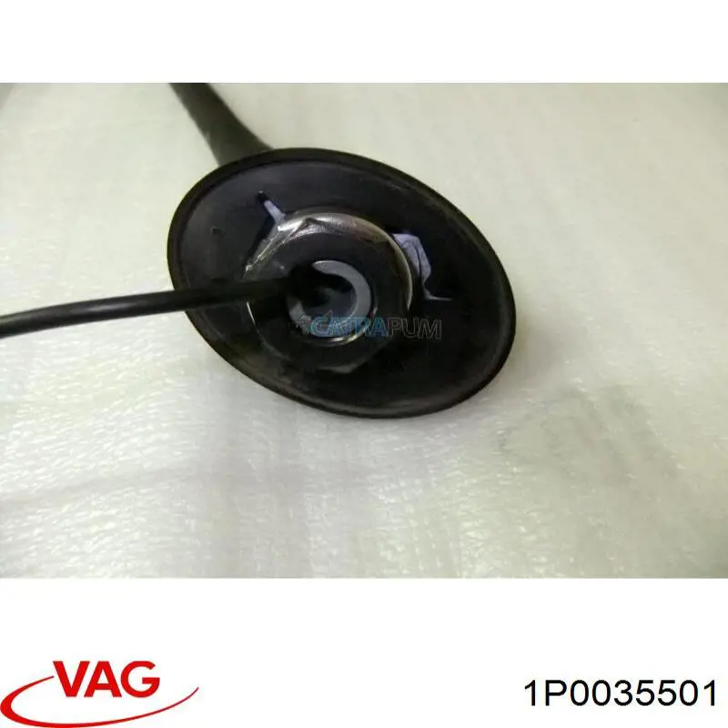  1P0035501 VAG