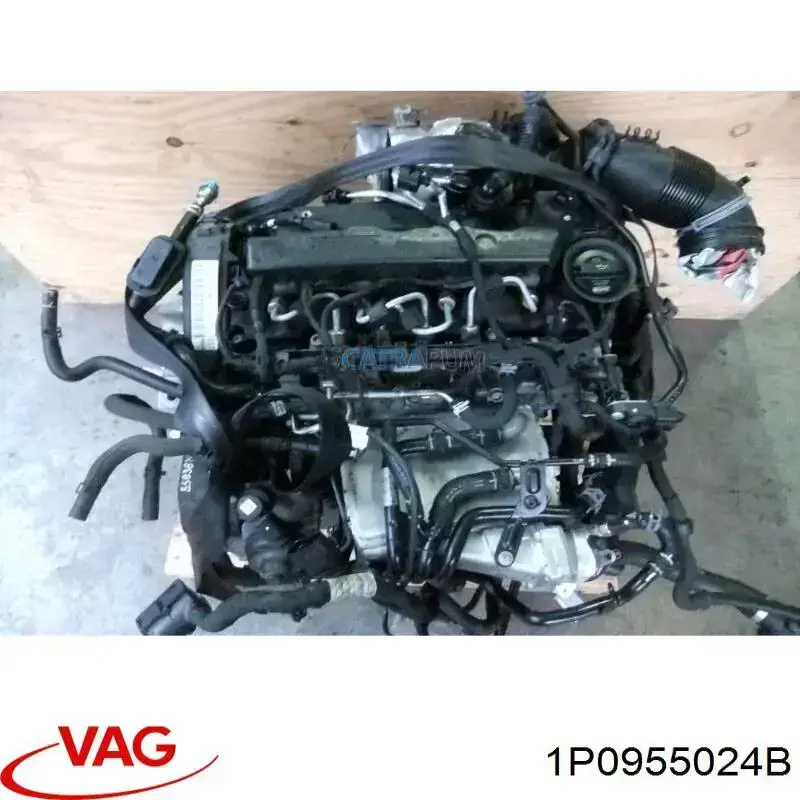1P0955024B VAG 
