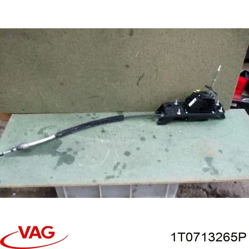 1T0713265P VAG