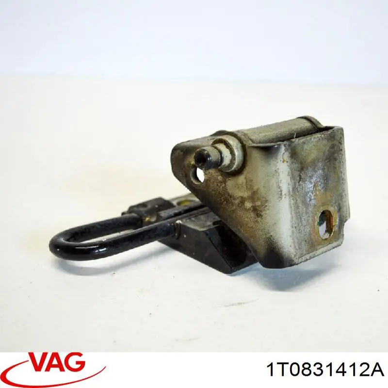 Купити 1T0831412A VAG Петля передніх дверей, правих