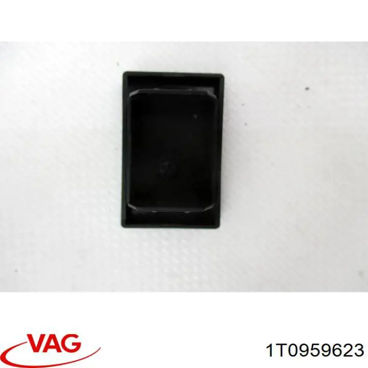 1T0959623 VAG 