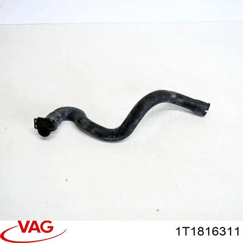 1T1816311 VAG 