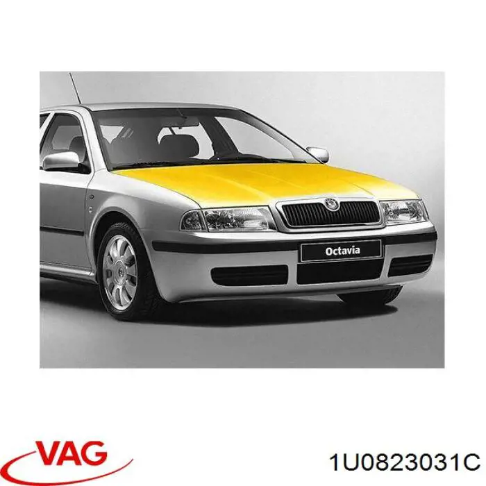 Капот VAG 1U0823031C ціна, від 148.37 USD