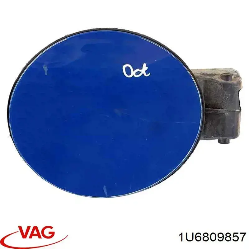 1U6809857 VAG 