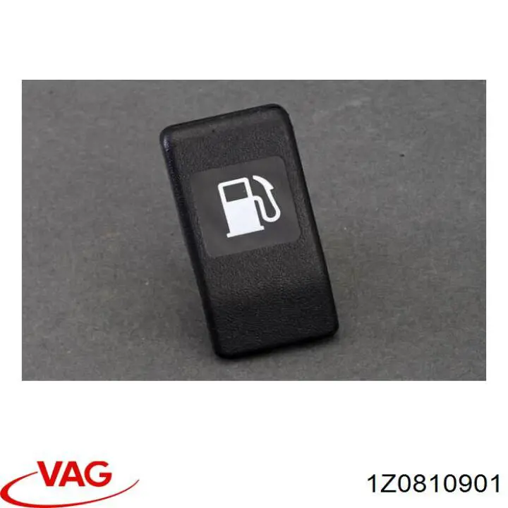 1Z0810901 VAG 