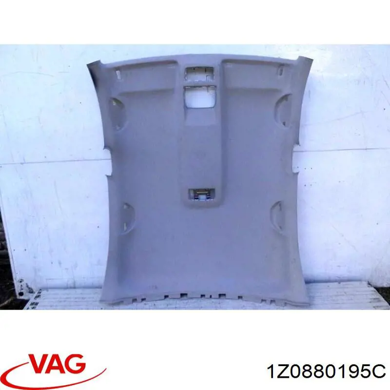  1Z0880195C VAG